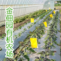 新聞圖片